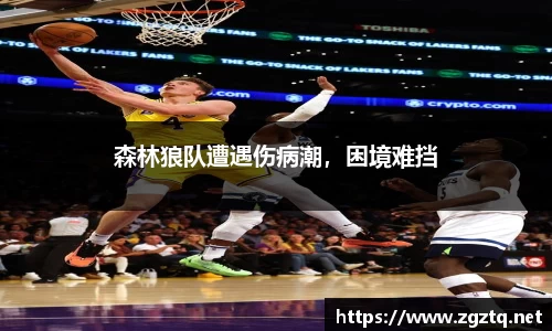 森林狼队遭遇伤病潮，困境难挡
